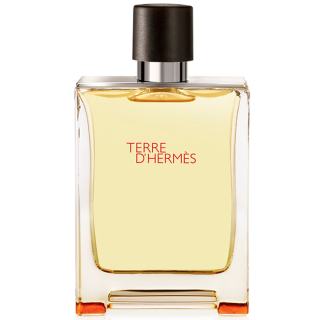 Hermes Terre Hermes EDT 100ml Parfum barbatesc